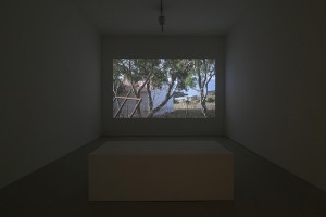 http://www.cedrickeymenier.com/files/gimgs/th-215_GJP 2016-Cedrick Eymenier-010.jpg